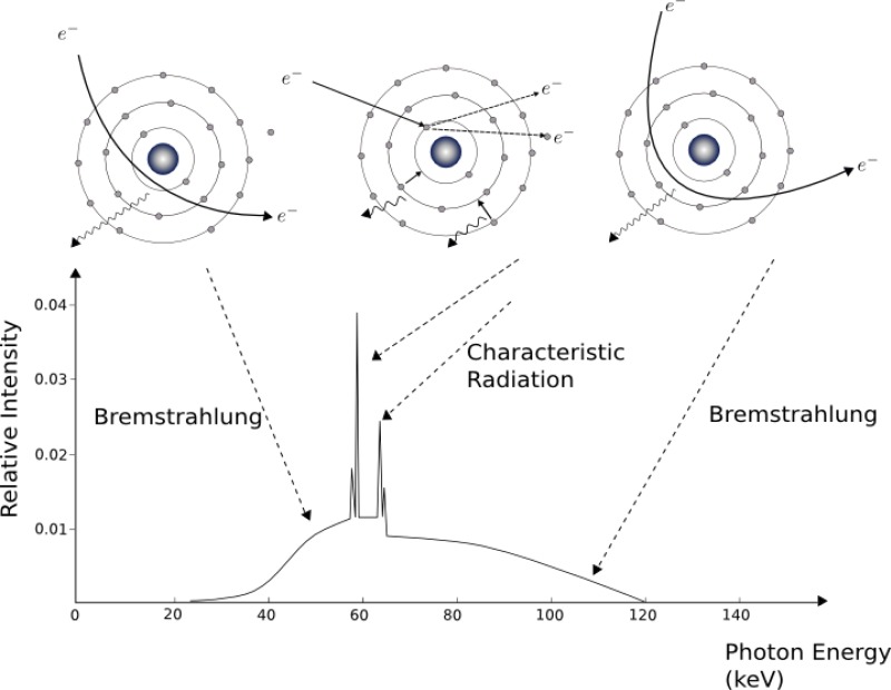 Tungsten X-ray spectrum showing continuous bremsstrahlung radiation with characteristic peaks, illustrating the energy distribution of photons produced at different kVp settings